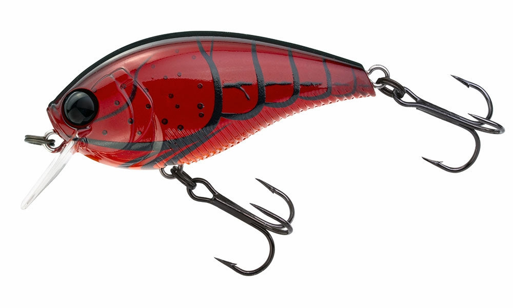 3DB CRANK 1.5 SQUAREBILL (F) 60mm 2-3/8 RED CRAWFISH