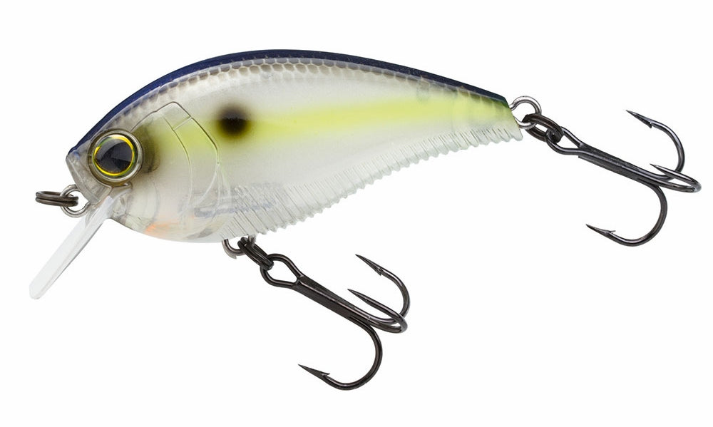 3DB CRANK 1.5 SQUAREBILL (F) 60mm 2-3/8 SEXY SHAD