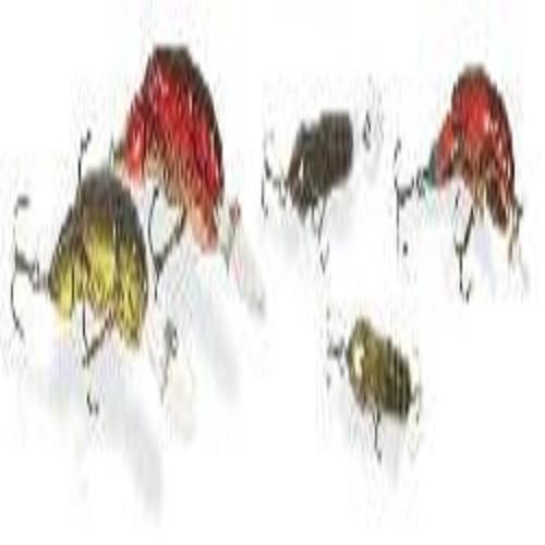 Rebel Wee Craw Fishing Lure Hard Bait Stream Crawfish 2 in 1/5 Oz