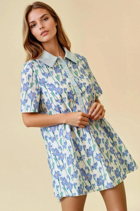 Doe and Rae - Floral & Stripe Mini Dress