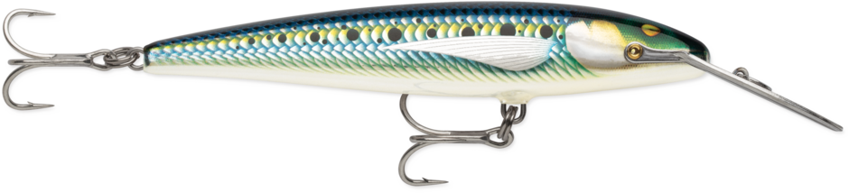 RAPALA - Countdown Magnum Elite - 2-3/4oz -Armored Sardine
