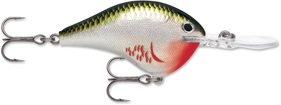 RAPALA - Dives-To - 2-1/4" 3/5oz - Bleeding Olive Shiner