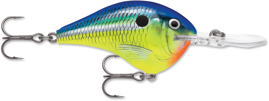 RAPALA - Dives-To - 2-1/4" 3/5oz - Parrot
