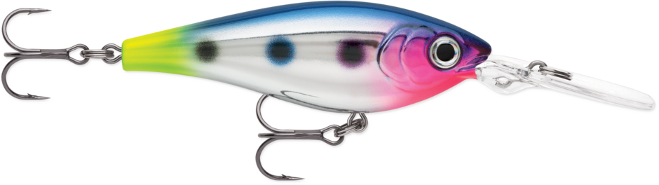 RAPALA - Harvest Shad - 2" 3/16oz - Chrome Blue Hot Tail