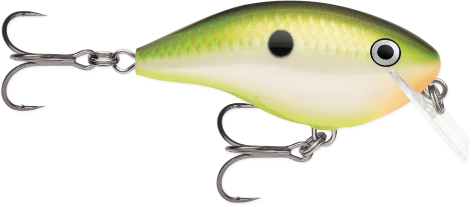 citrus colored fishing lures SPRO Little John Start Bench