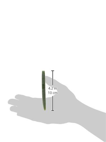 Yamamoto 7 Inch Senko Worm