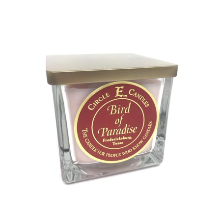 Circle E Candles - Birds of Paradise 22oz