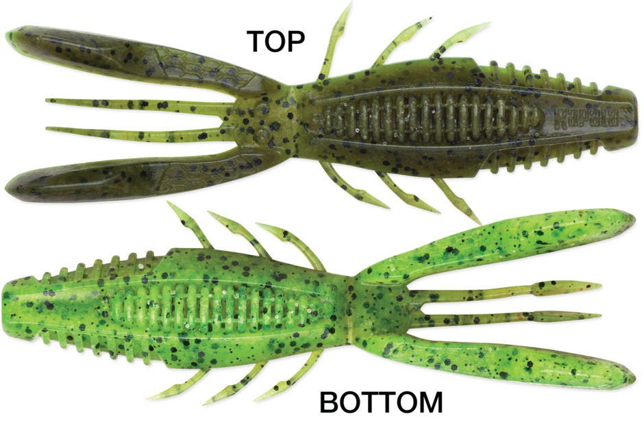 RAPALA - CrushCity - Bronco Bug - 4" - Green Pumpkin Chartreuse Pepper