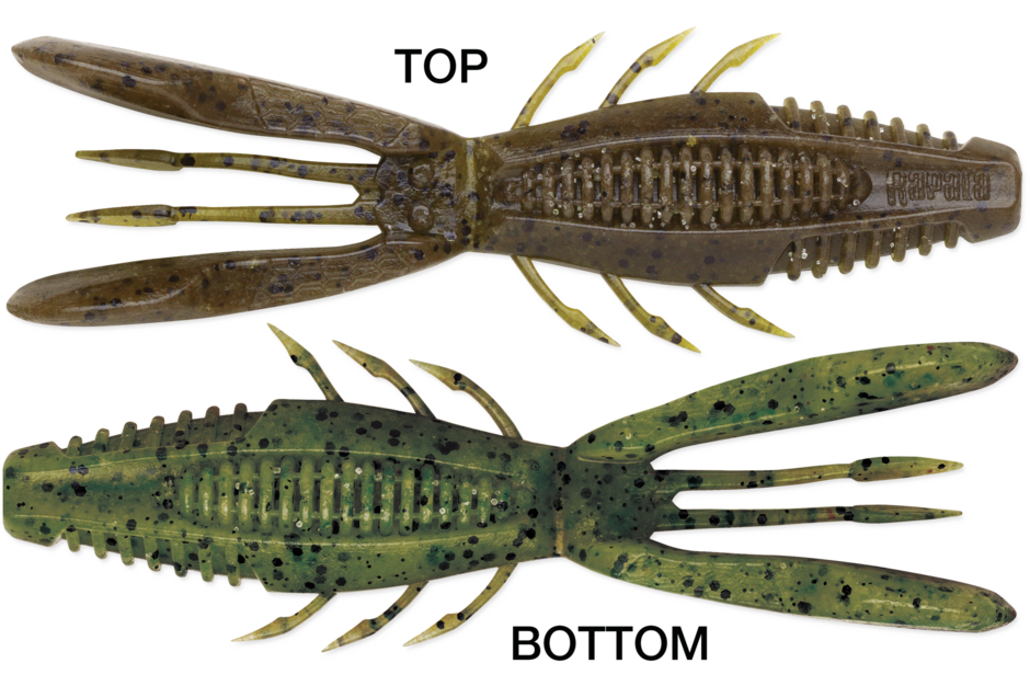 RAPALA - CrushCity - Bronco Bug - 4" - Green Pumpkin Watermelon