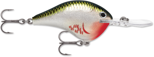 RAPALA - Dives-To - 2-1/4" 3/5oz - Bleeding Olive Shiner