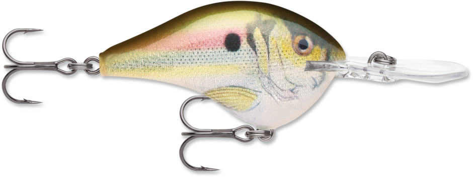 RAPALA - Dives-To - 2-1/4" 3/5oz - Live River Shad