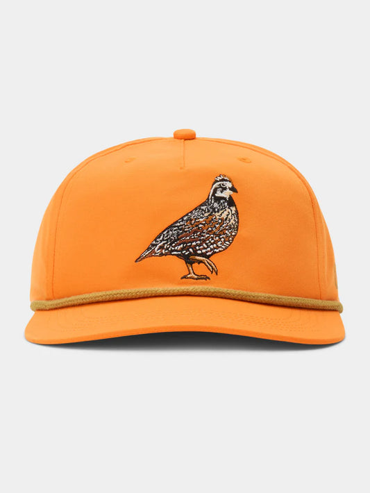 Duck Camp - Bobwhite Quail Hat