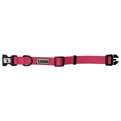 Local Boy Outfitters - Dog Collar