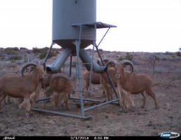Outback Feeders